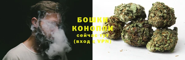 гашик Михайловск