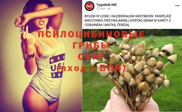 мет Билибино