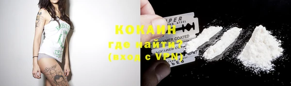 гашик Михайловск