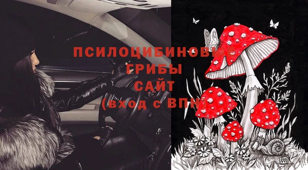 гашик Михайловск