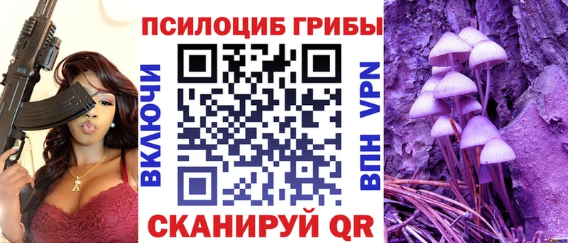 Псилоцибиновые грибы Cubensis  Купить где  Мамадыш 